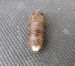 Brake caliper bleeder screw rusty and plugged